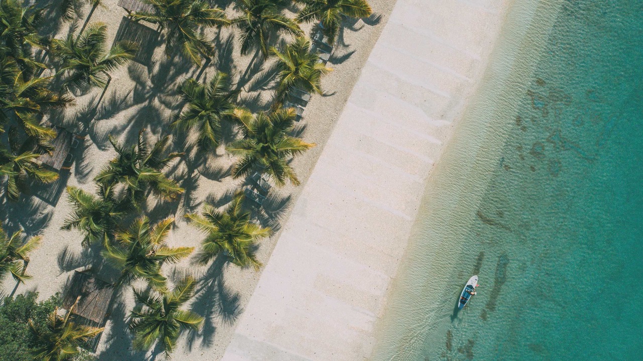 Photo of Others in Punta Cana