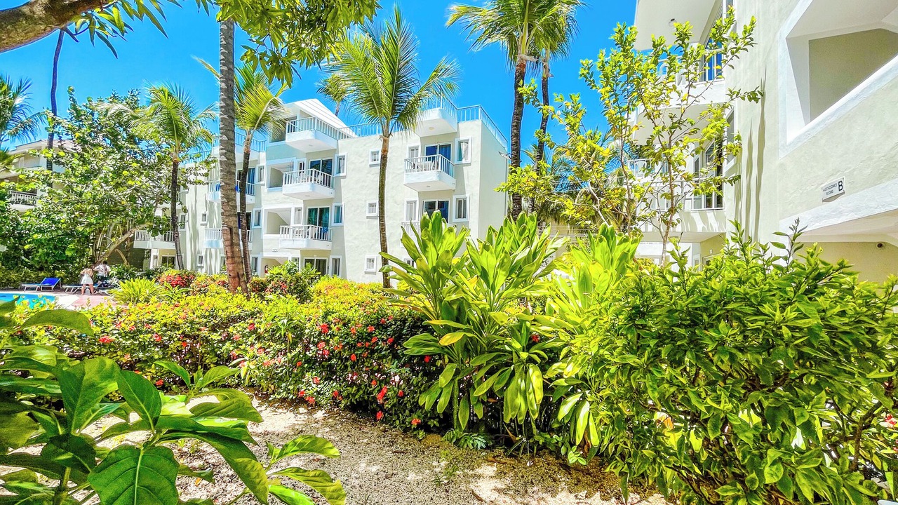 Photo of Outdoor in Bavaro