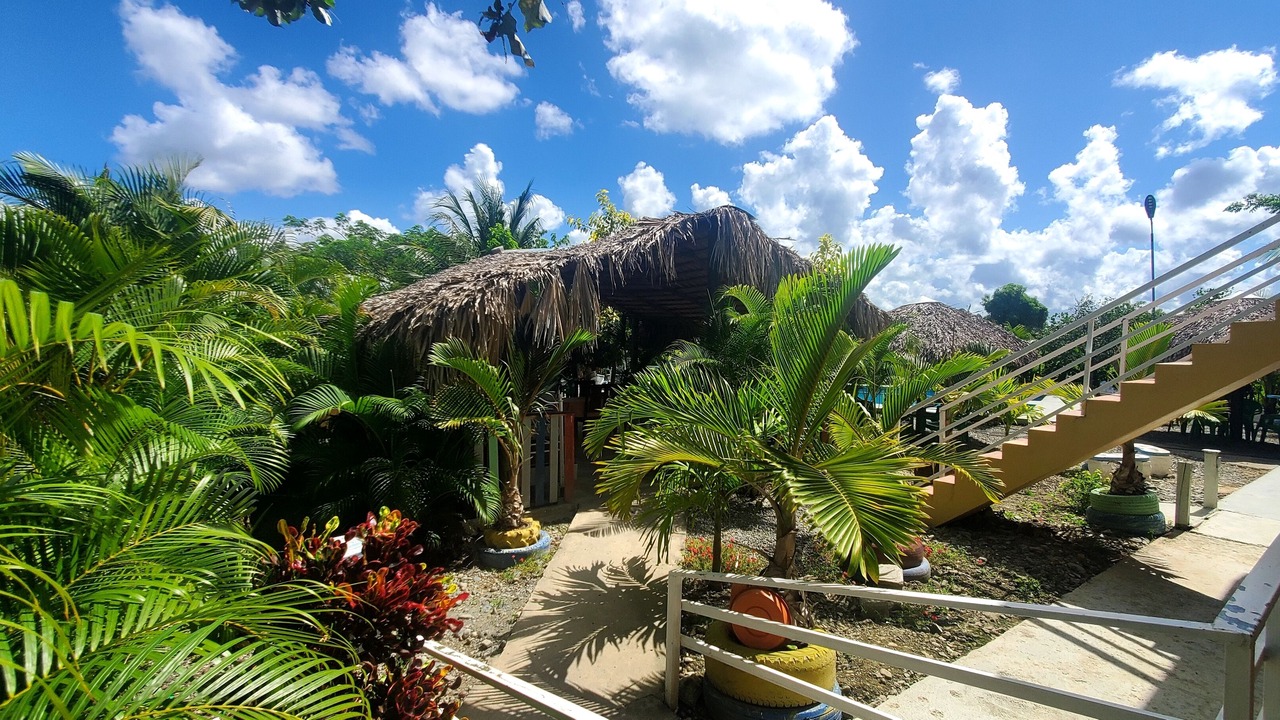 Photo of Outdoor in La Vega