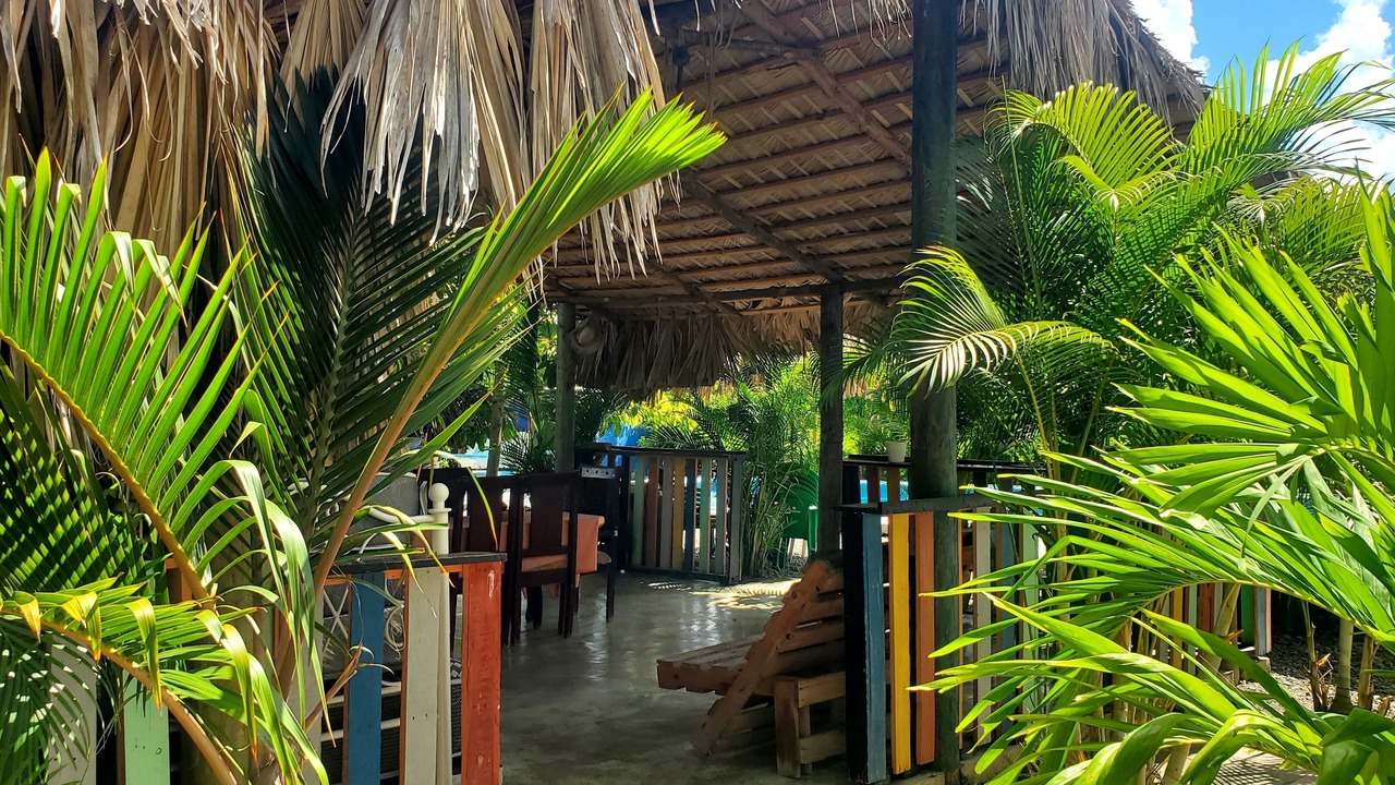 Photo of Outdoor in La Vega