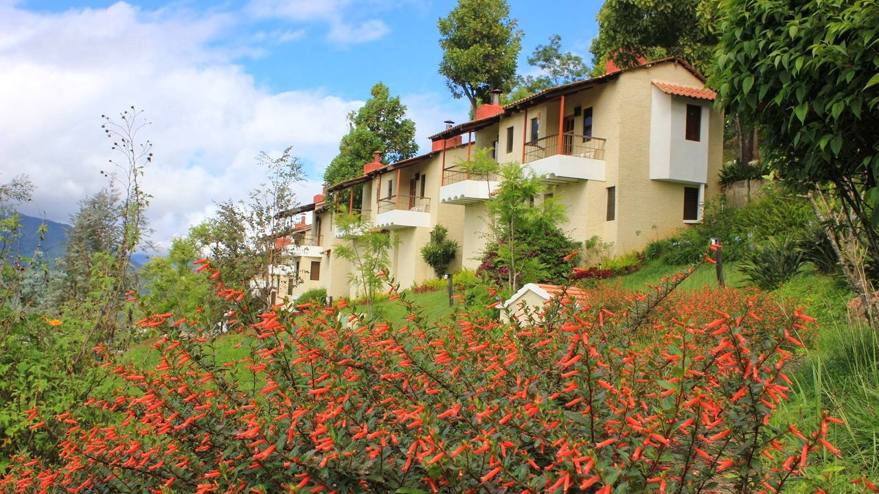 Photo of Outdoor in Constanza