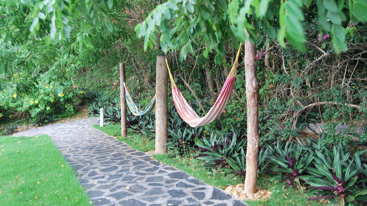 Photo of Others in Las Terrenas