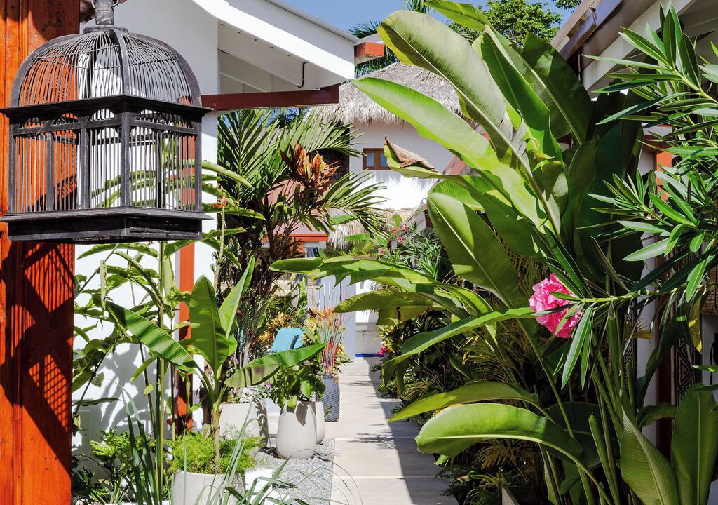 Photo of Patio Balcony in Las Terrenas