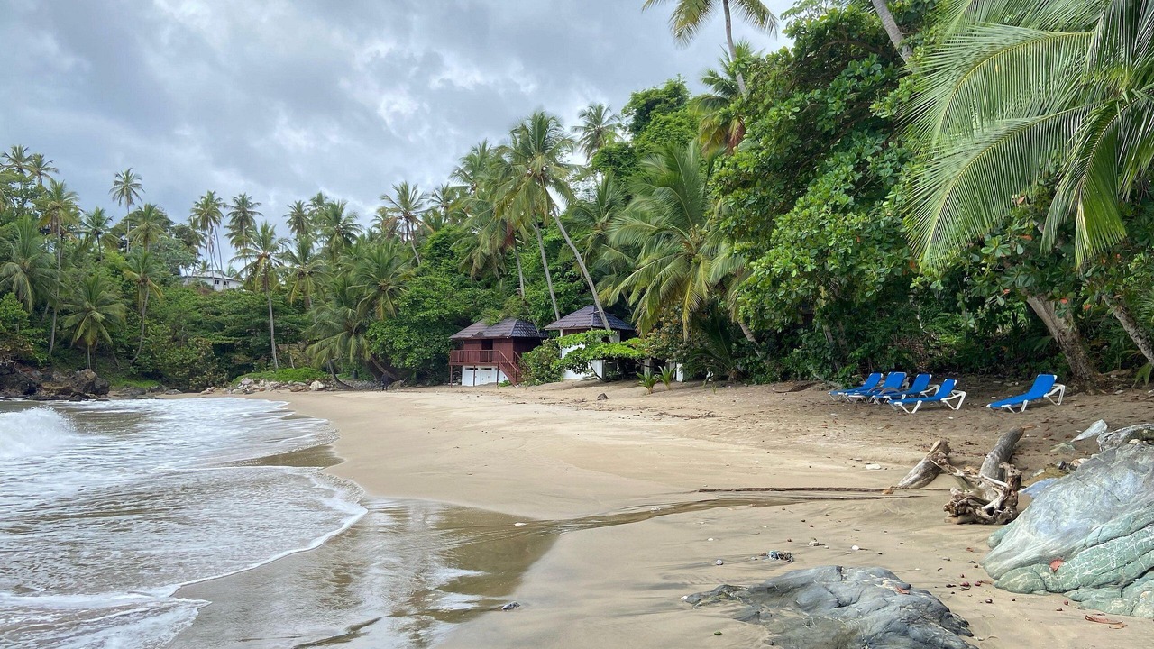 Photo of Others in Samana