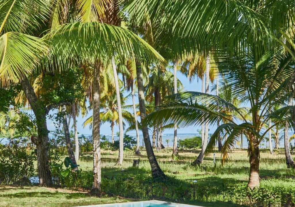 Photo of Outdoor in El Limon