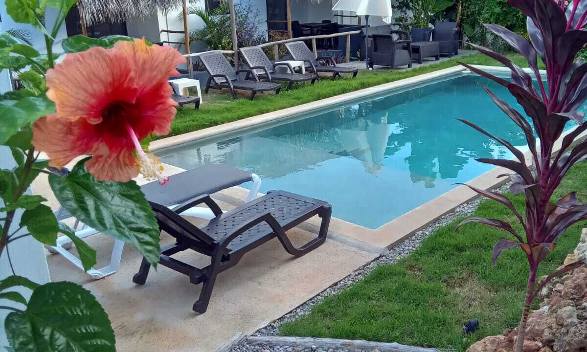 Photo of Outdoor in Las Galeras
