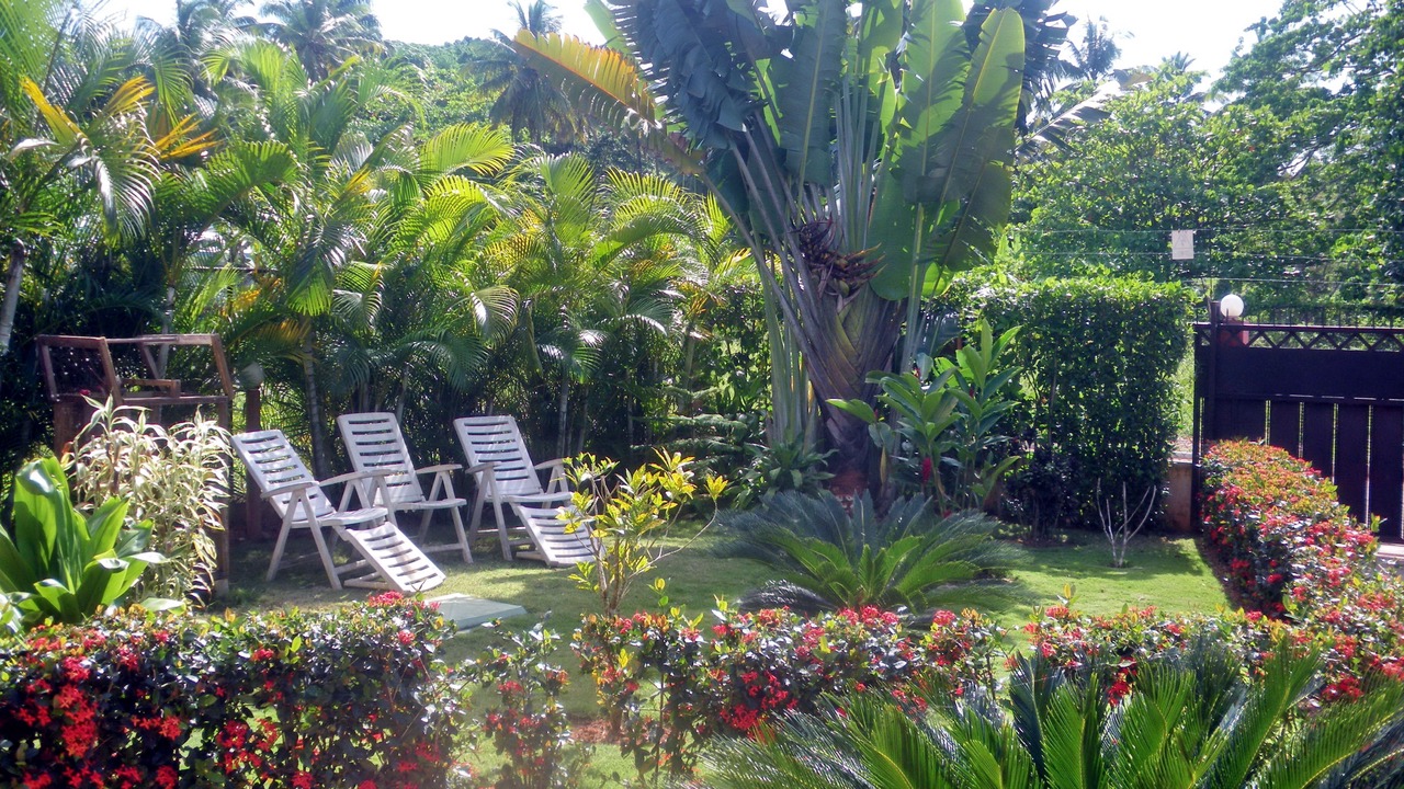 Photo of Outdoor in La Ceiba