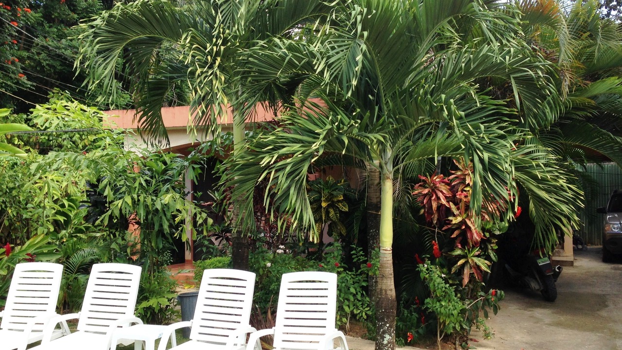 Photo of Outdoor in La Ceiba