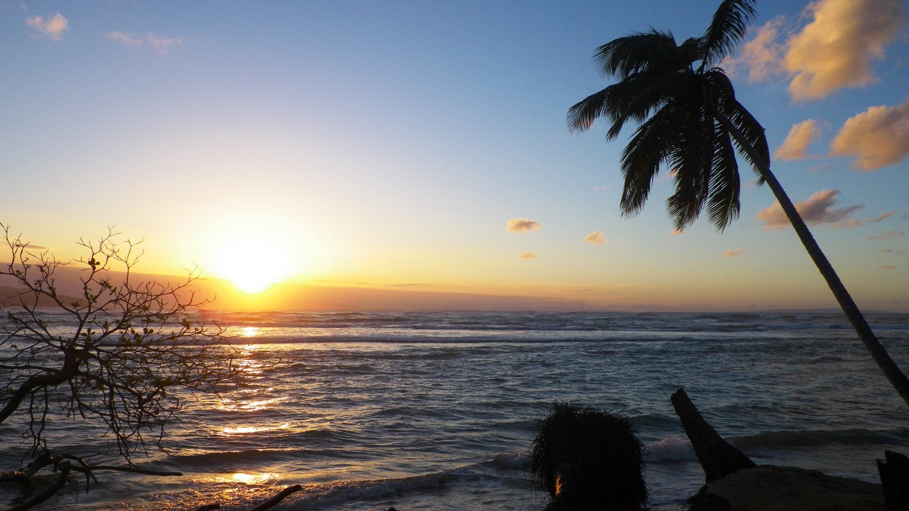 Photo of Others in La Ceiba
