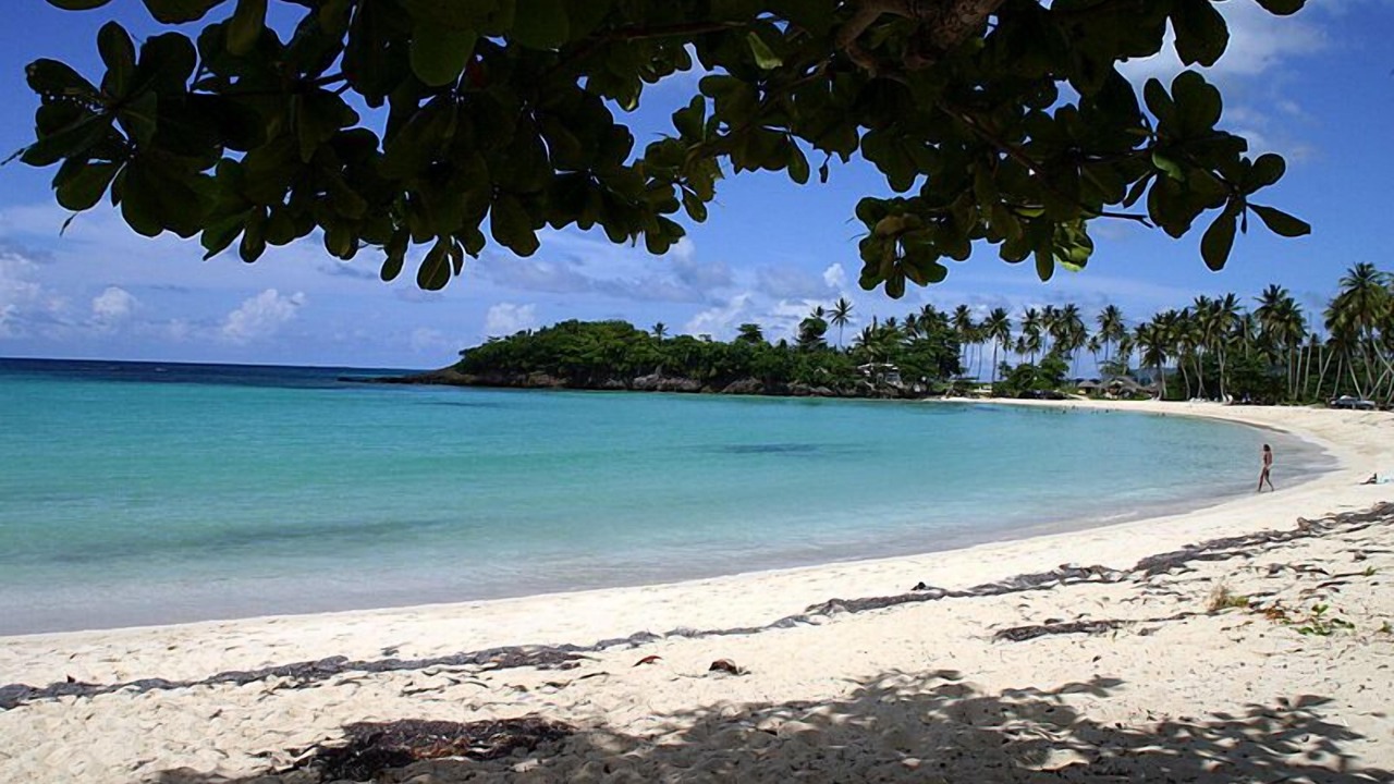 Photo of Others in Las Galeras