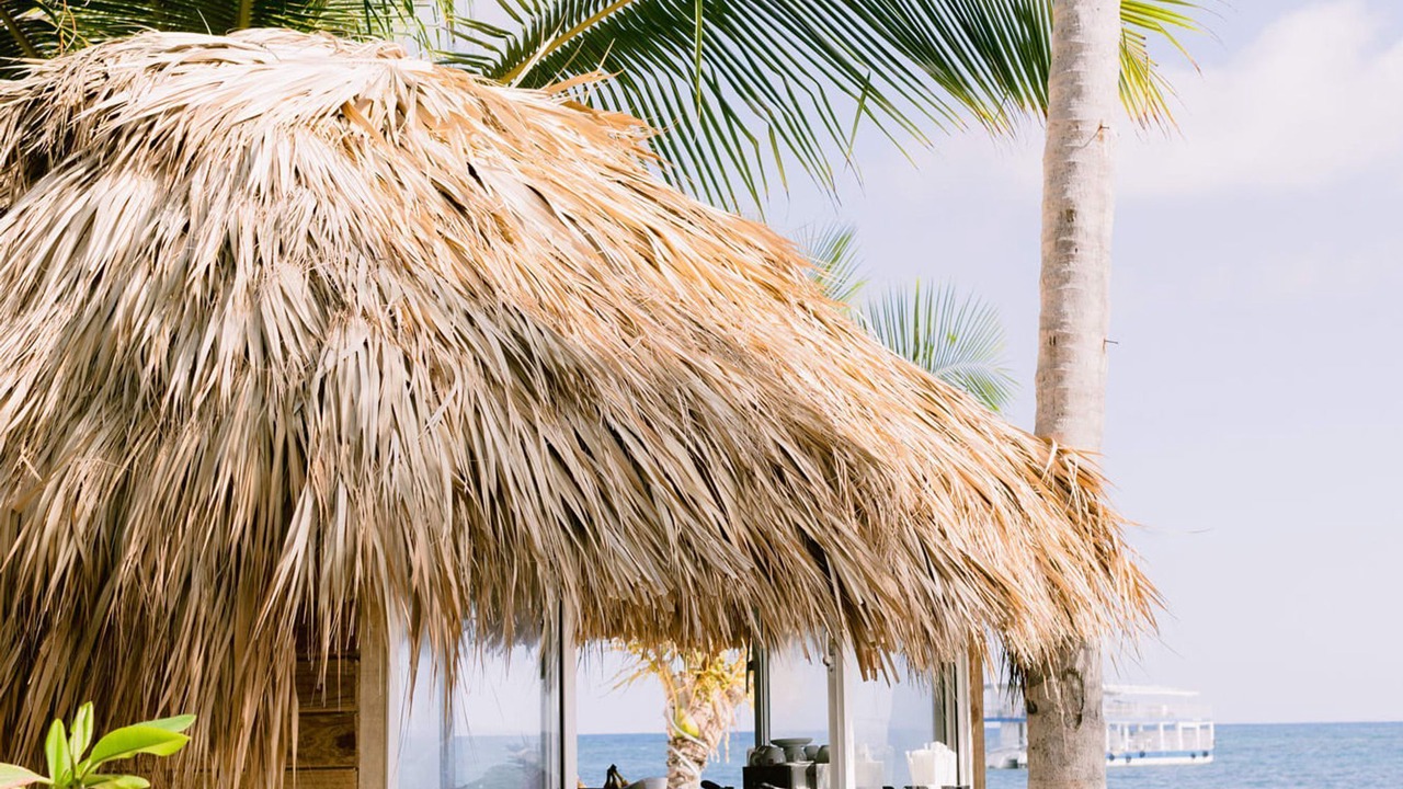 Photo of Outdoor in El Cortecito