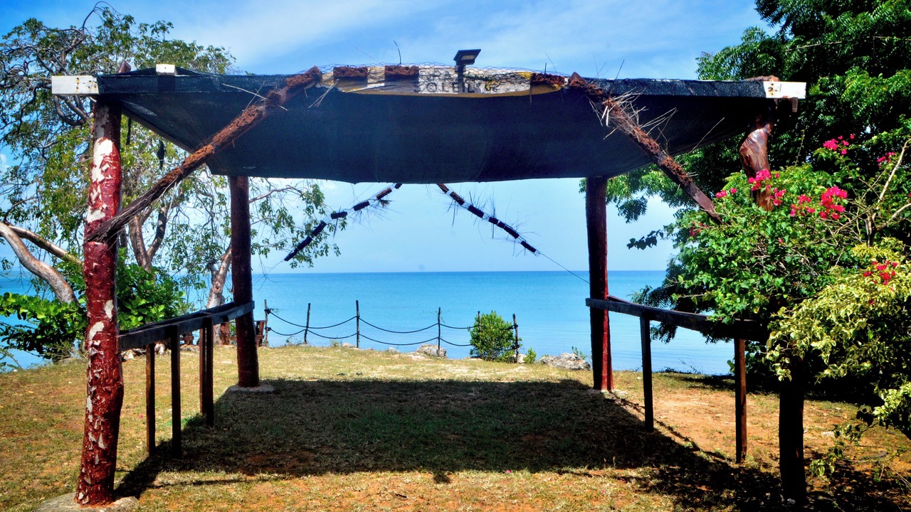 Photo of Outdoor in La Isabela