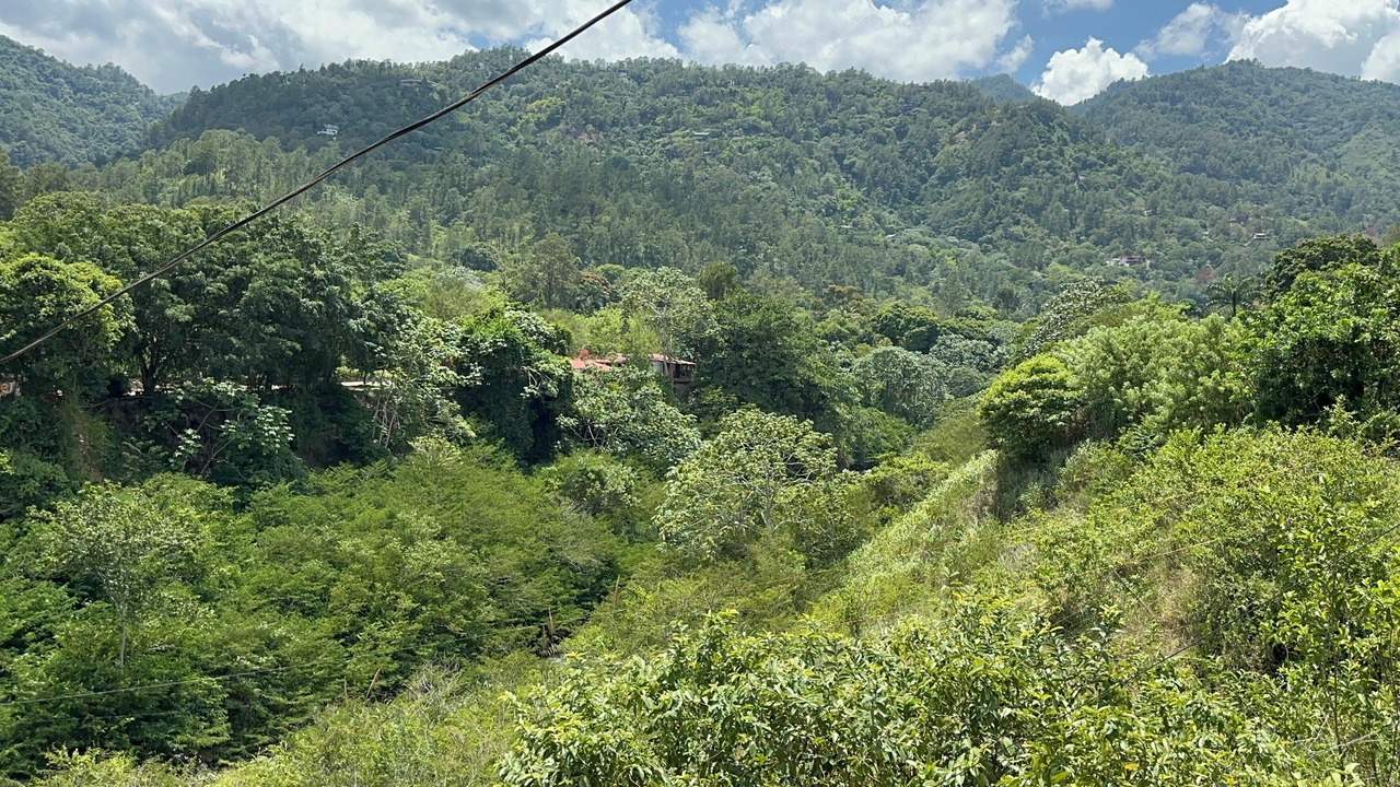 Photo of Others in La Vega