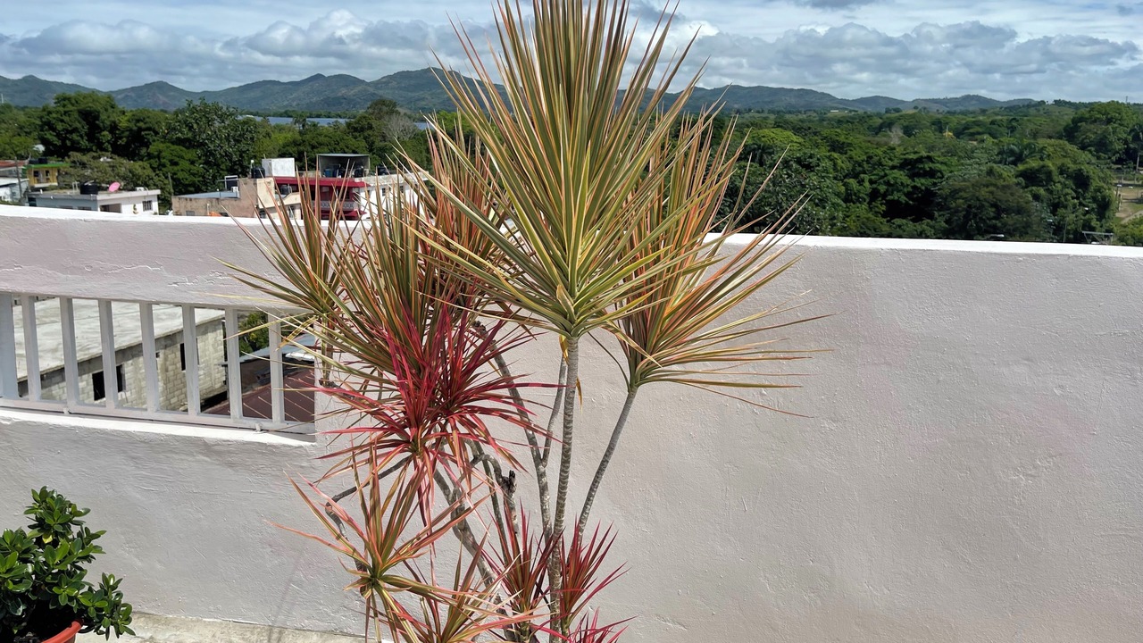 Photo of Outdoor in Monte Plata