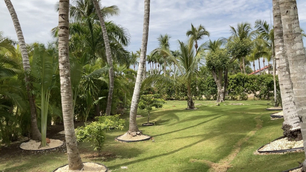 Photo of Others in Casa de Campo