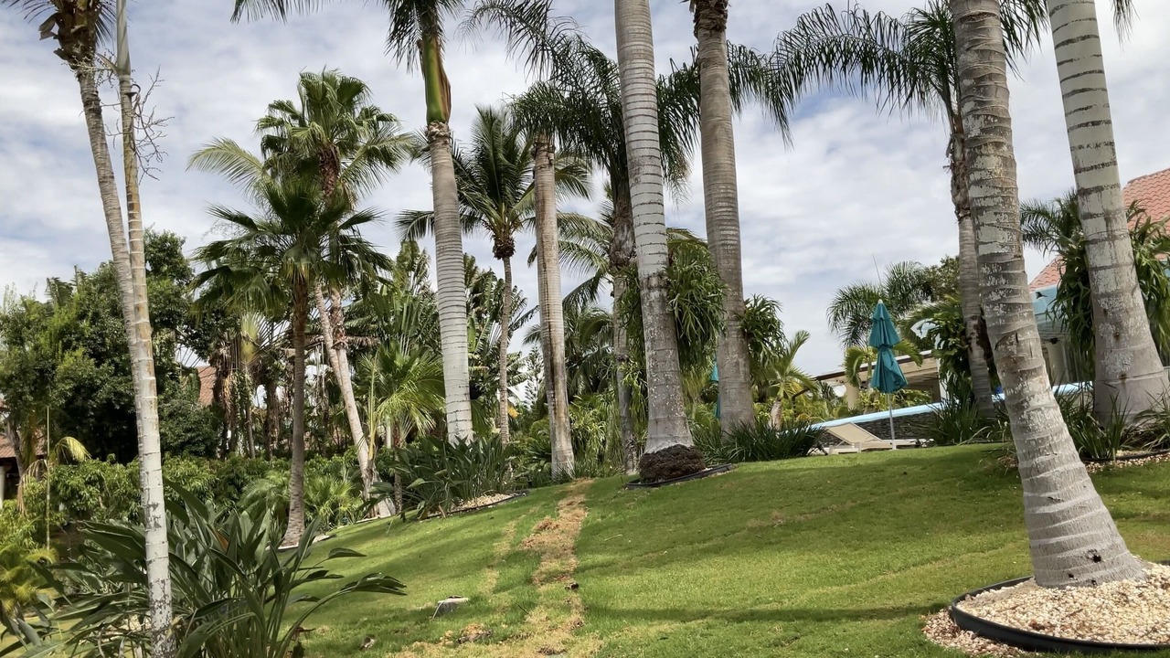 Photo of Outdoor in Casa de Campo
