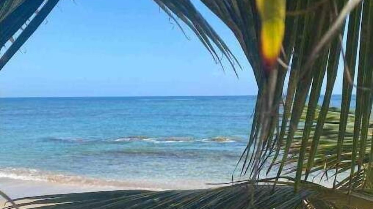 Photo of Others in Nagua