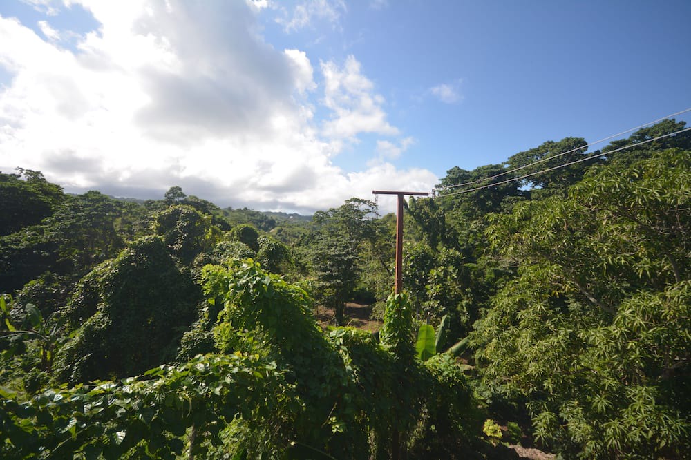 Photo of Others in La Ceiba