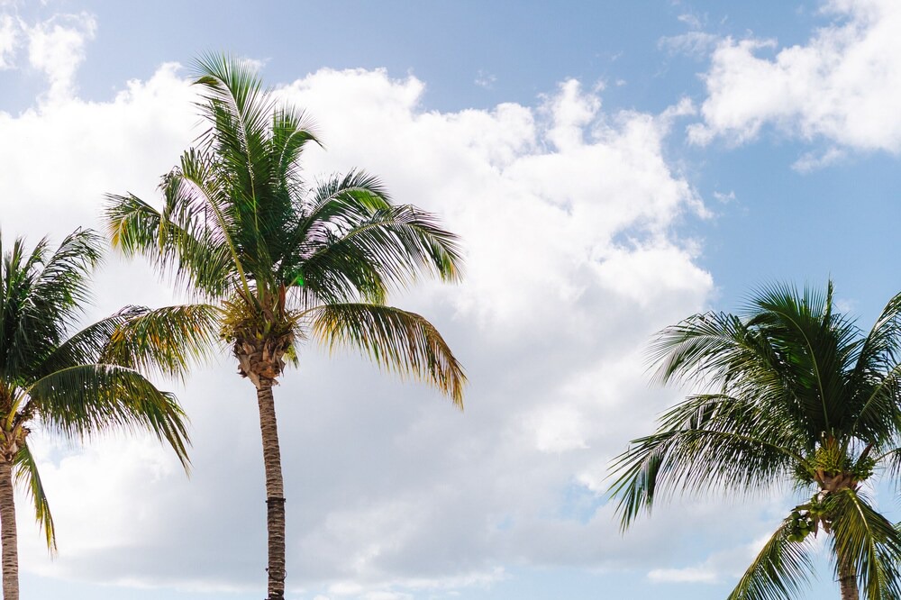 Photo of Outdoor in Dominicus