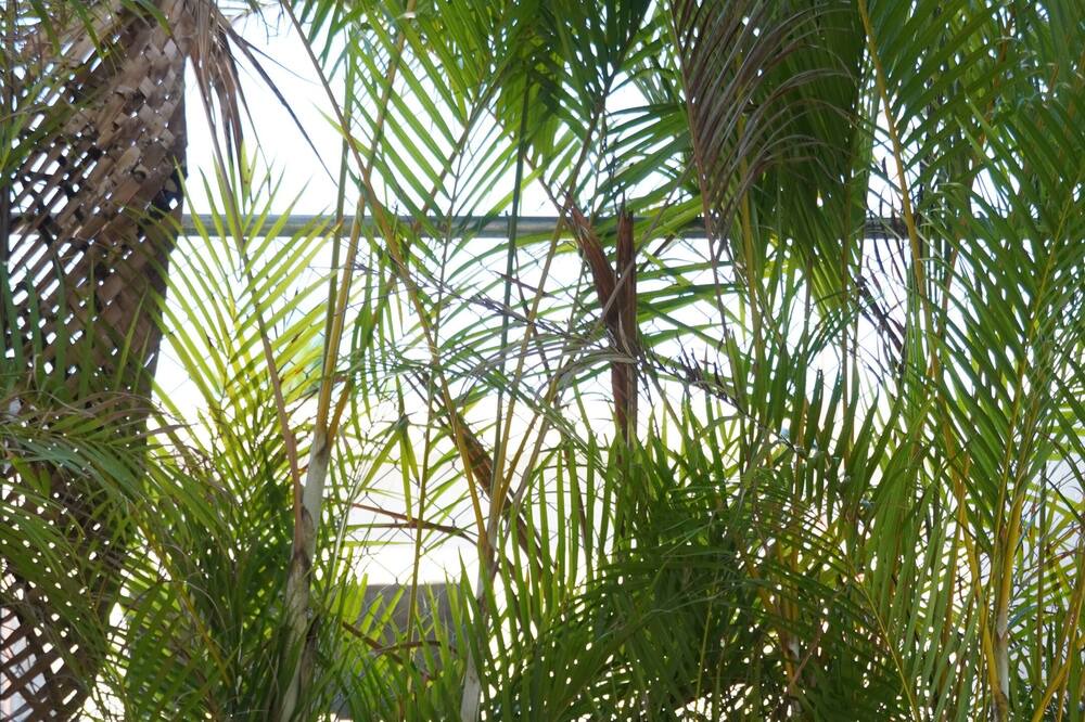 Photo of Outdoor in Rio San Juan