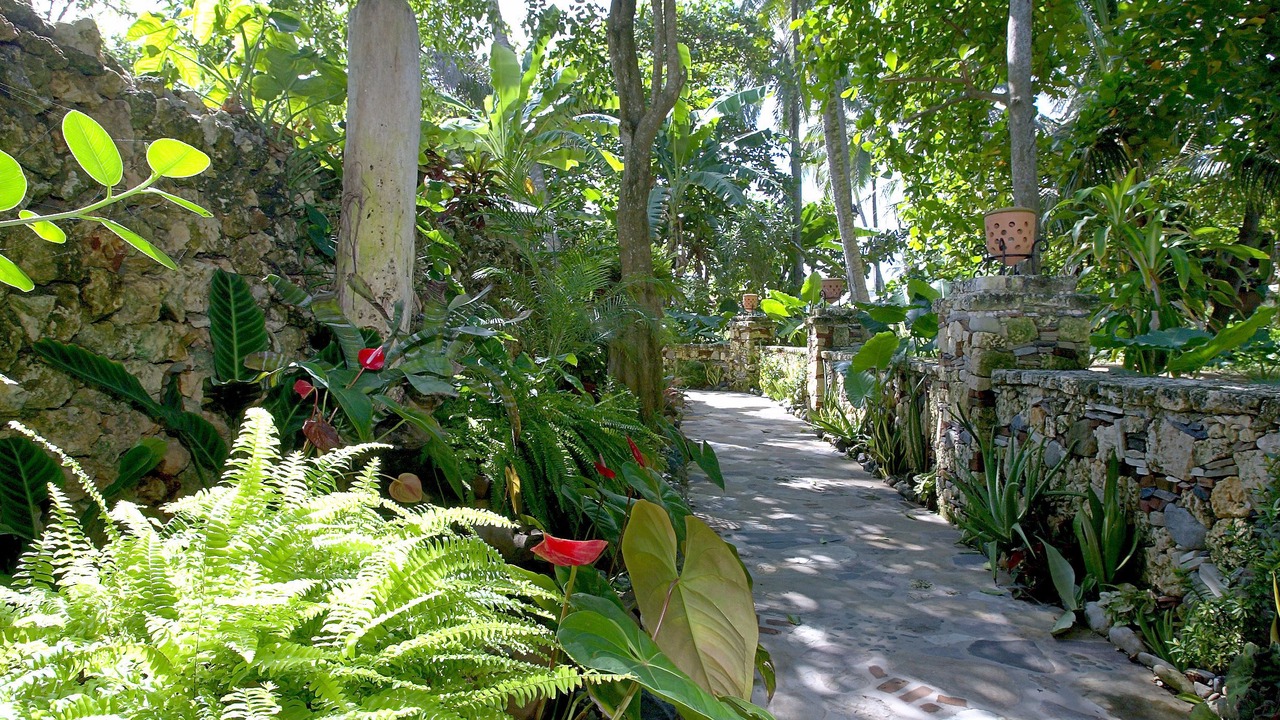 Photo of Outdoor in Cabarete