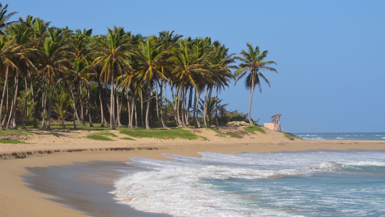 Photo of Others in Sosua