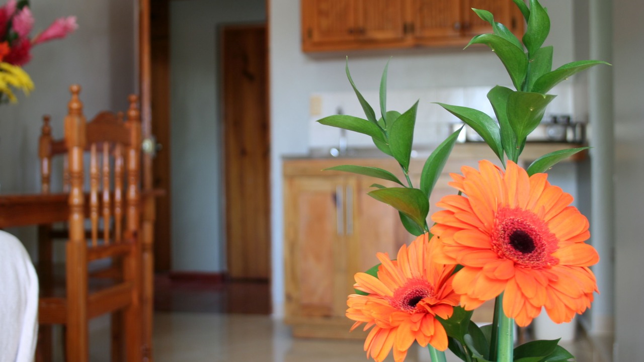 Photo of Bedroom in Boca Chica