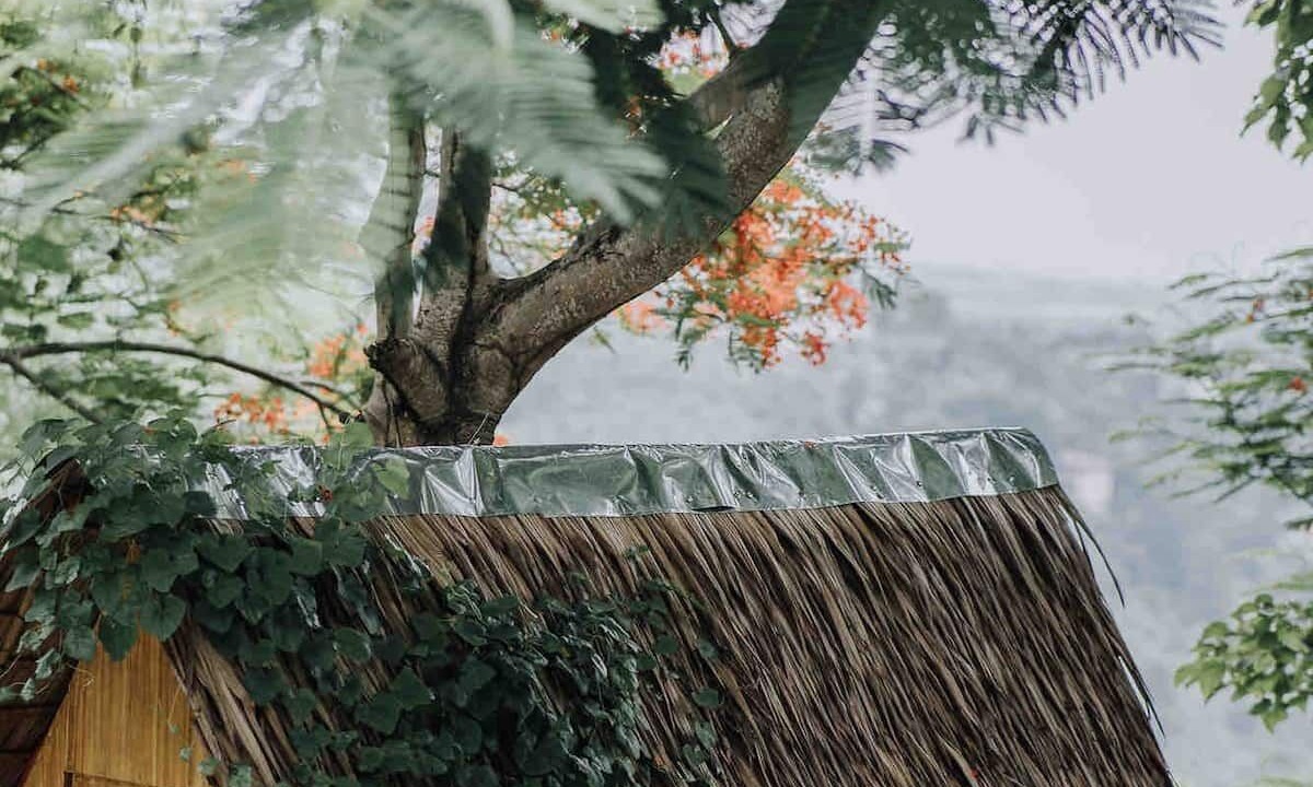 Photo of Patio Balcony in Busay