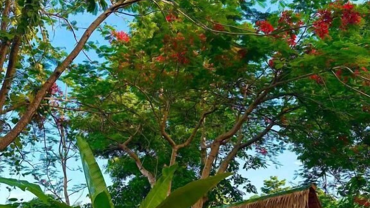 Photo of Others in Busay
