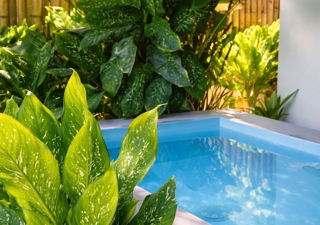 Photo of Outdoor in San Juan