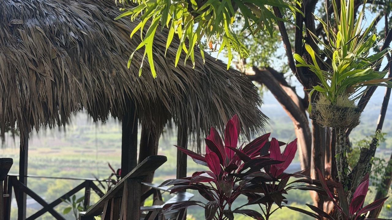 Photo of Outdoor in La Isabela