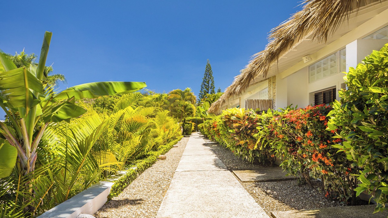 Photo of Outdoor in Cabarete