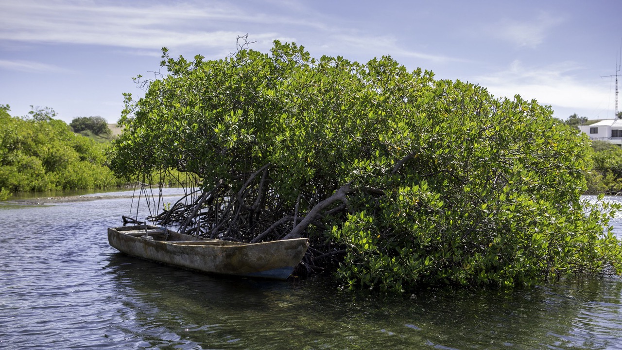 Photo of Outdoor in Las Salinas