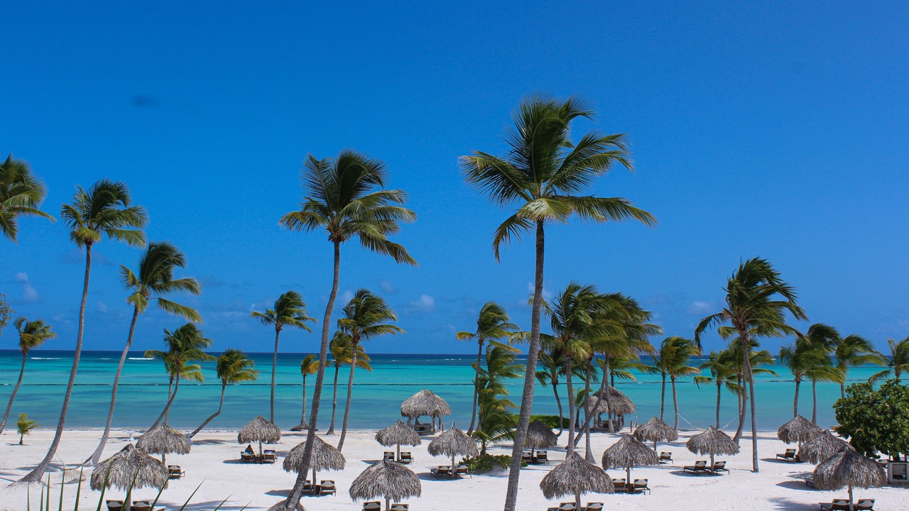 Photo of Others in Punta Cana