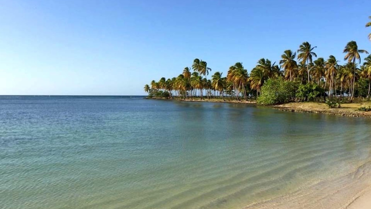 Photo of Others in Las Galeras