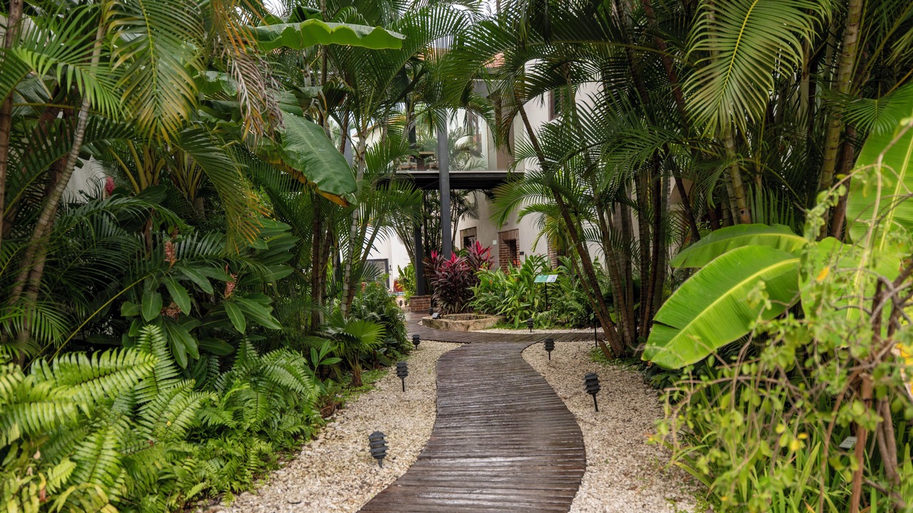 Photo of Patio Balcony in Zona Colonial