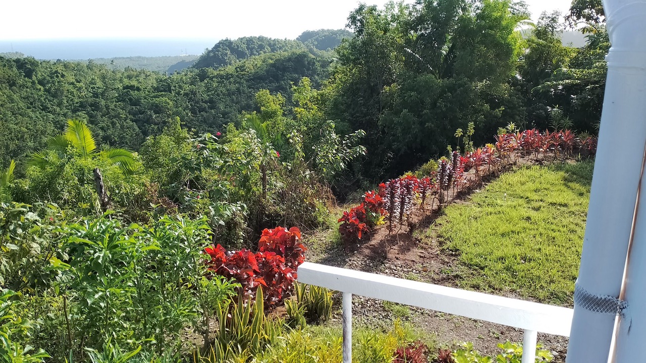 Photo of Outdoor in Catmon