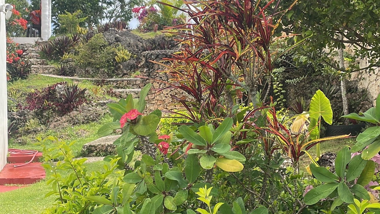 Photo of Outdoor in Barrio Santa Lucia