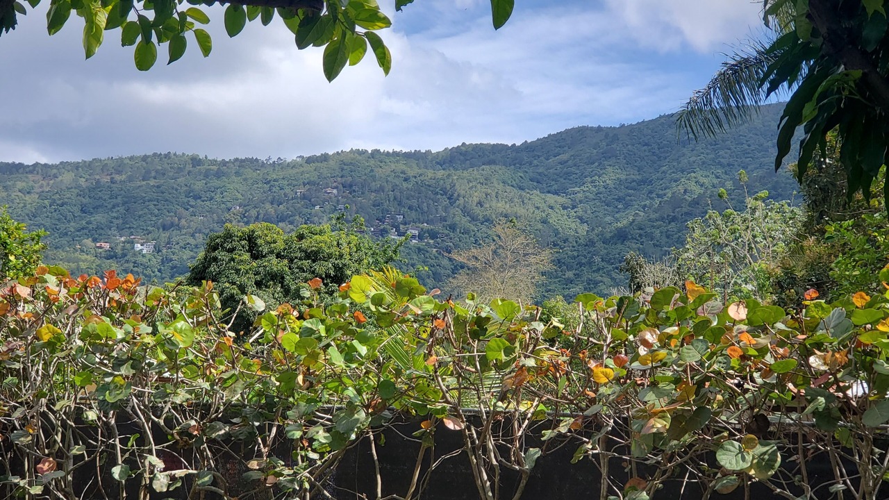 Photo of Outdoor in Pinar Quemado