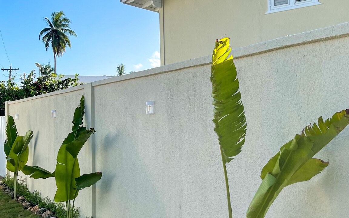 Photo of Outdoor in La Iglesia