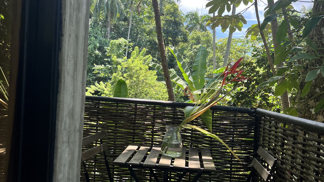 Photo of Patio Balcony in Samana