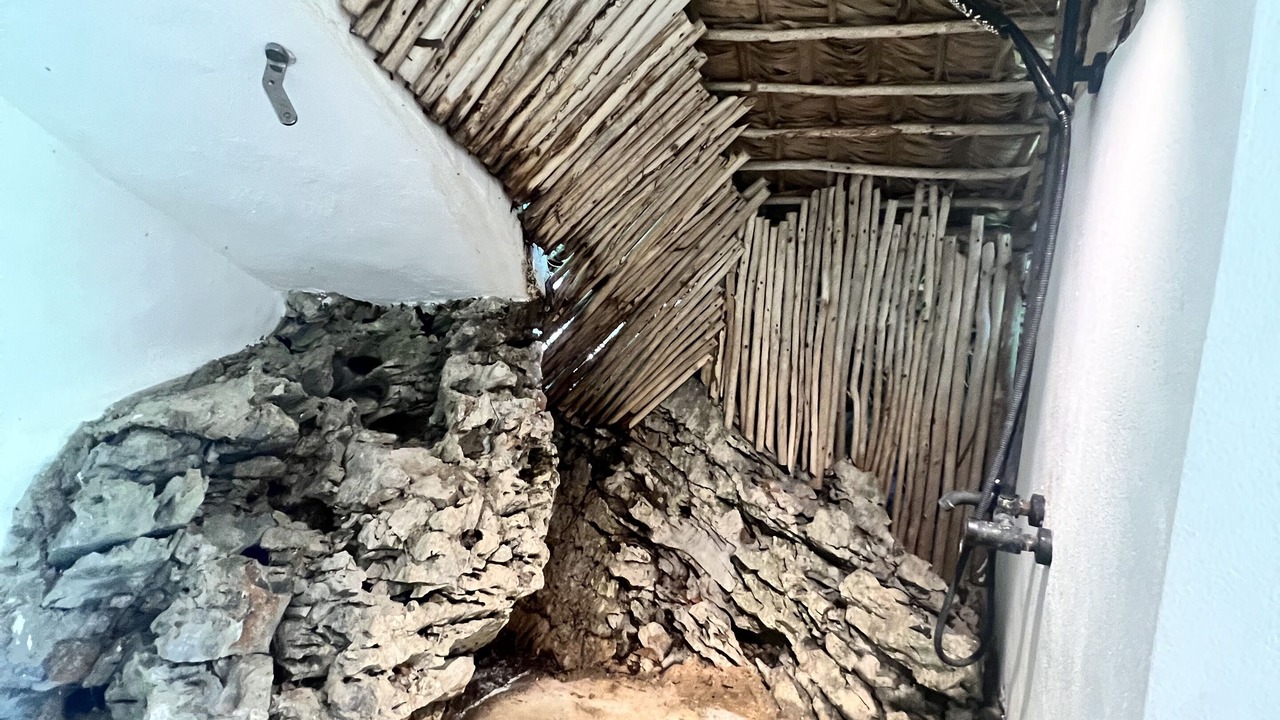 Photo of Bathroom in Samana