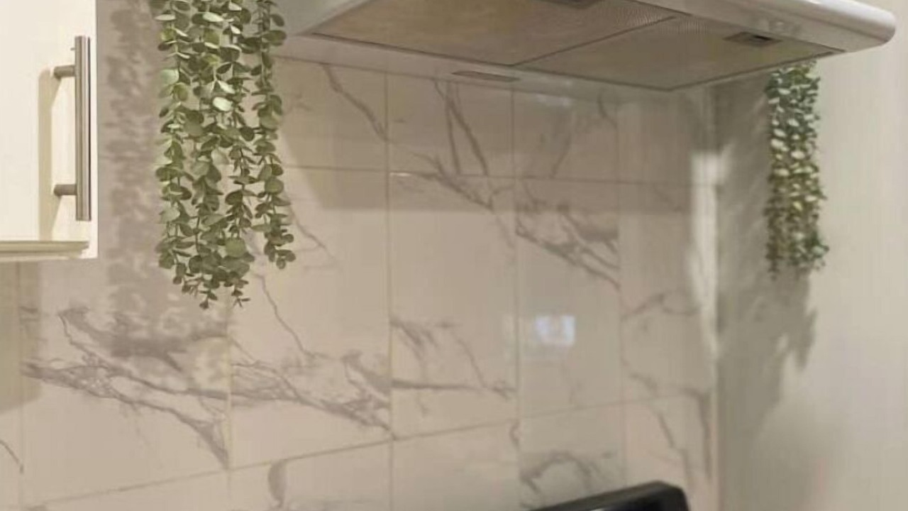 Photo of Kitchen in Los Maestros
