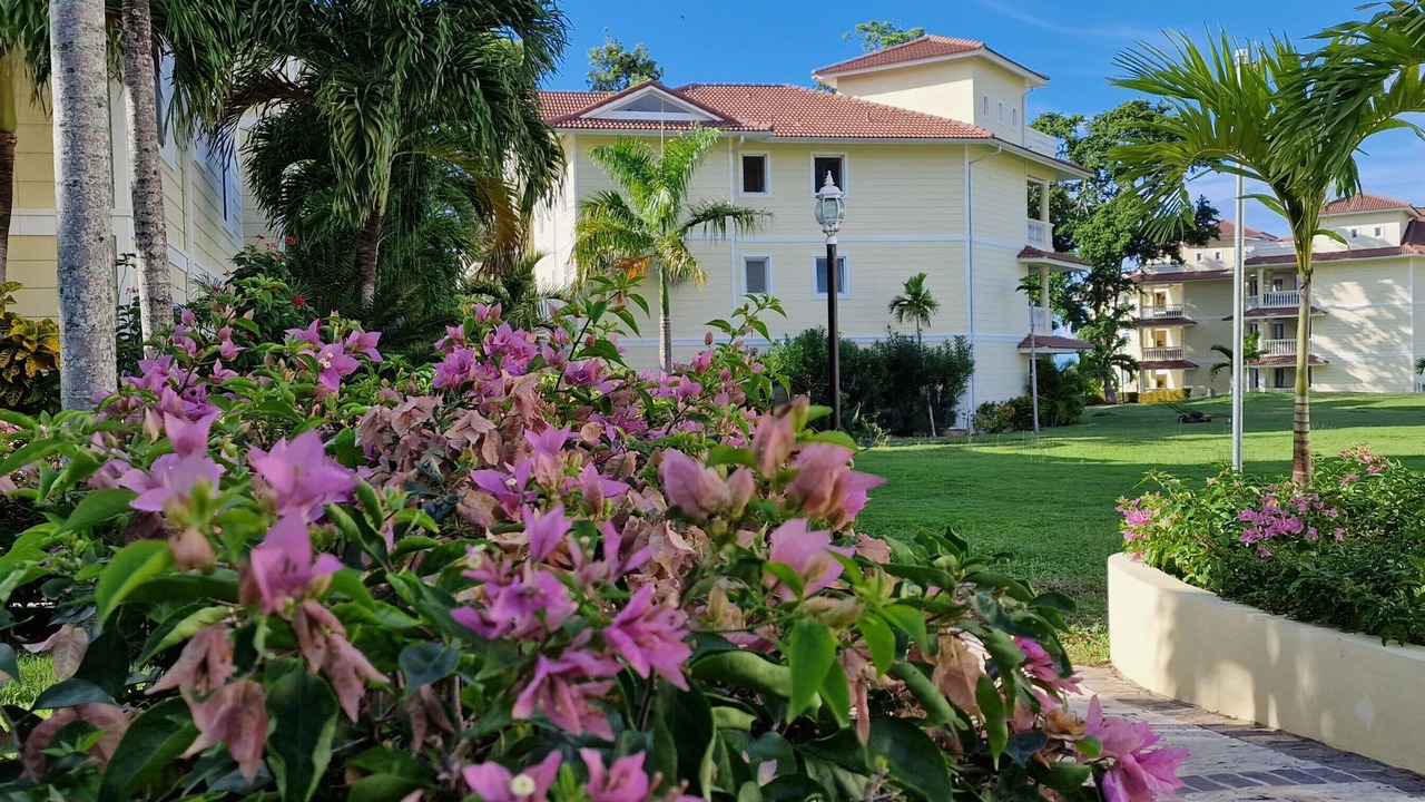 Photo of Outdoor in El Batey