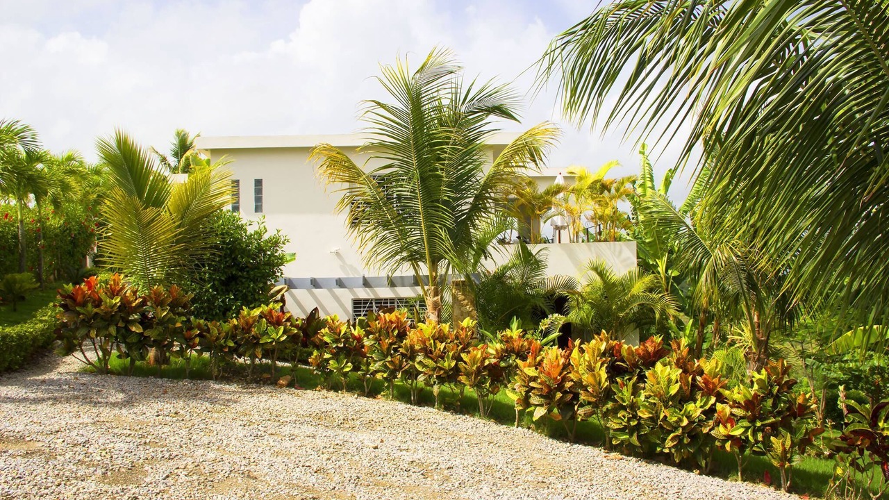 Photo of Outdoor in Rio San Juan