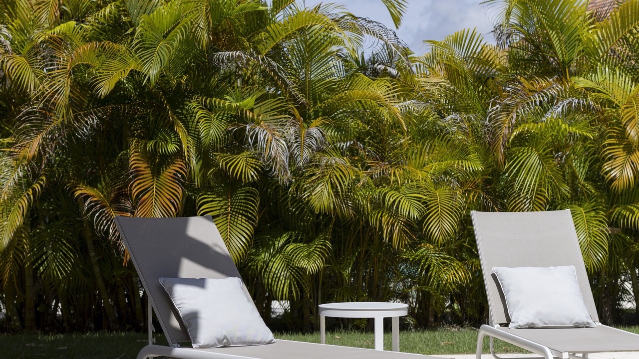 Photo of Others in Punta Cana
