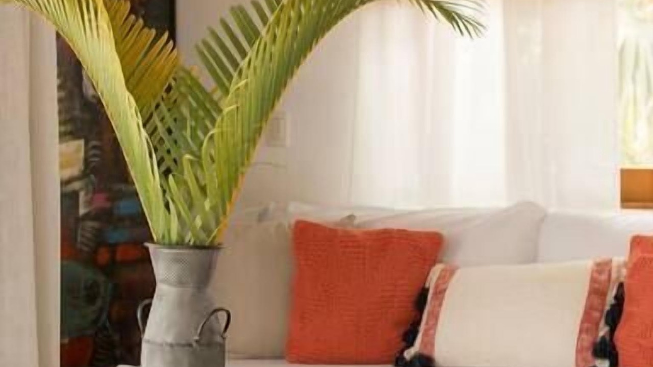 Photo of Others in Punta Cana