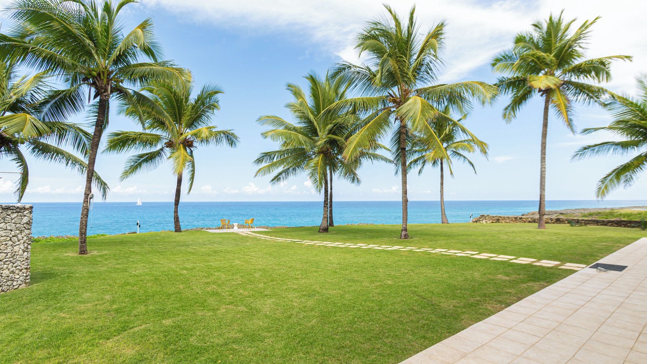Photo of Outdoor in Playa Chiquita