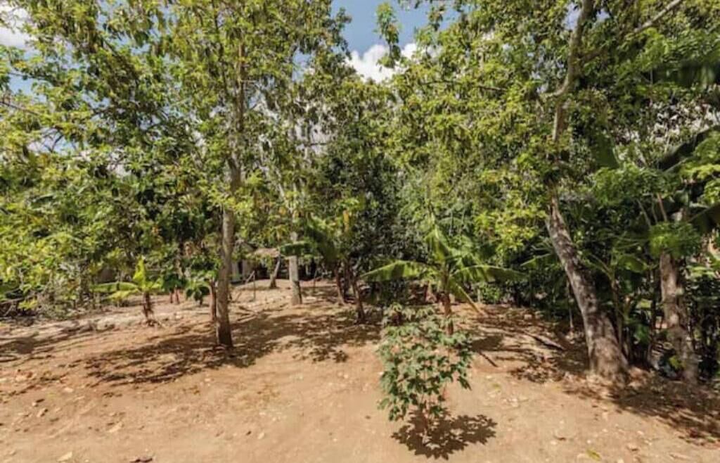 Photo of Outdoor in Los Hidalgos