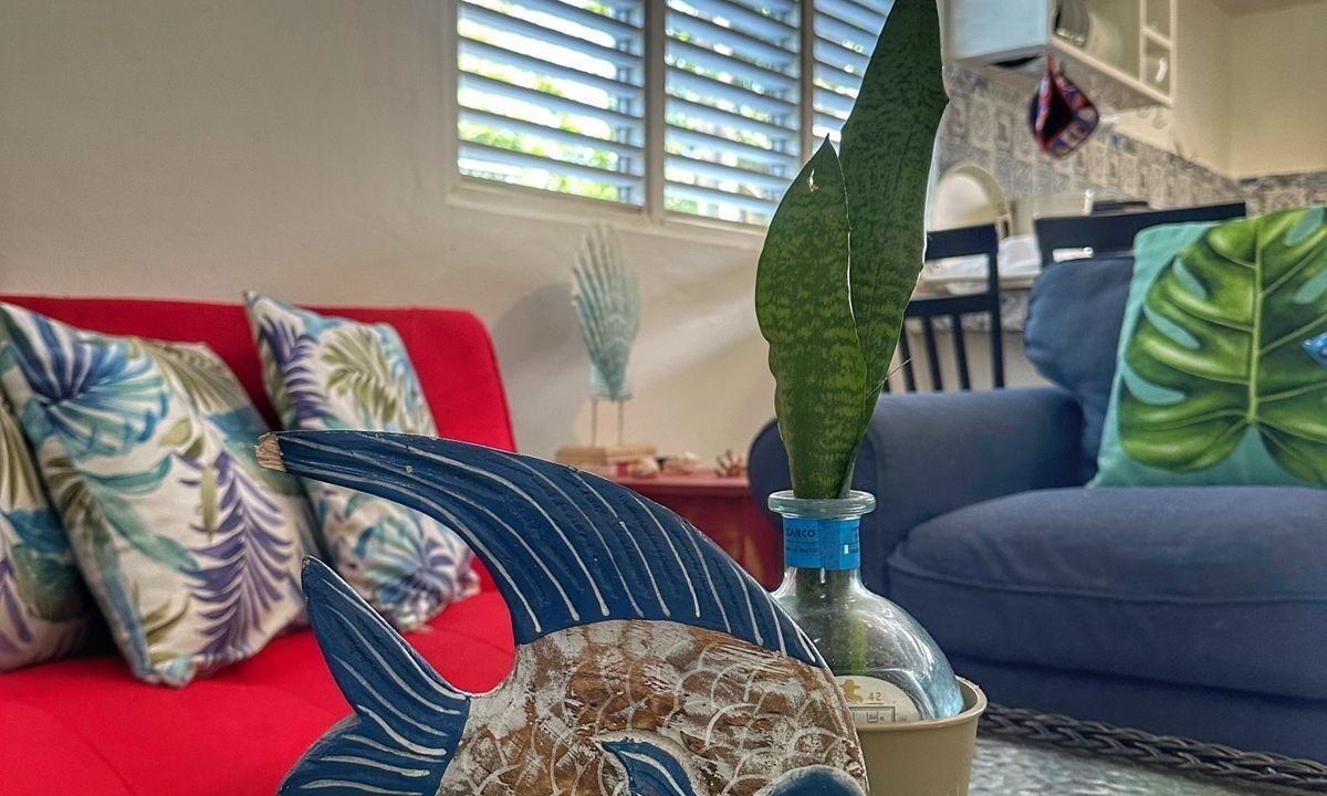 Photo of Livingroom in La Ceiba